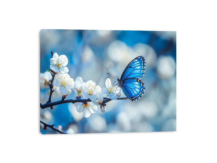 Blue Butterfly Canvas Print