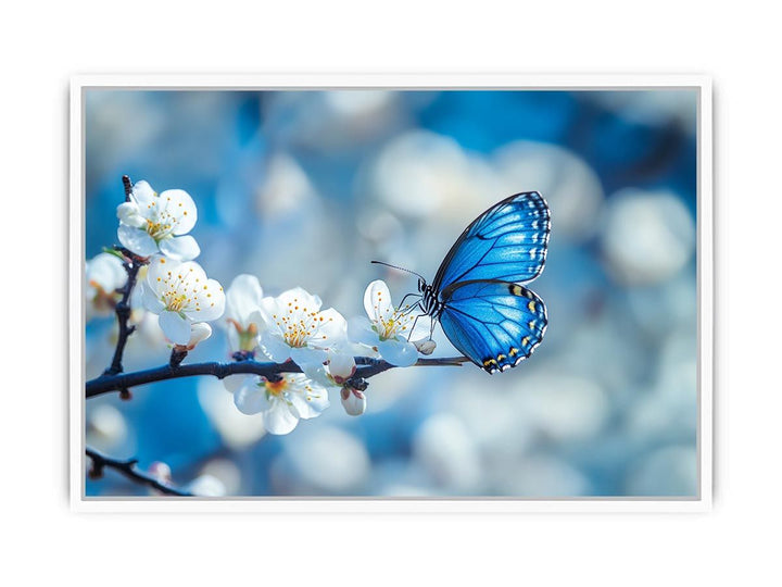 Blue Butterfly Framed Print
