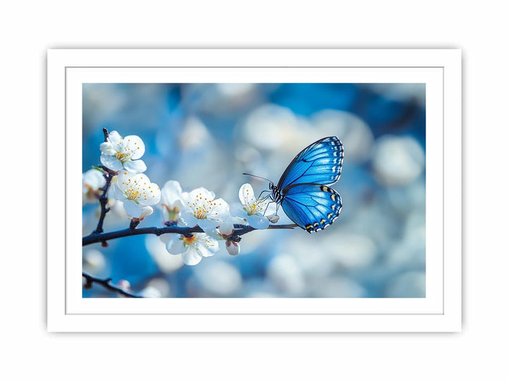 Blue Butterfly Streched canvas