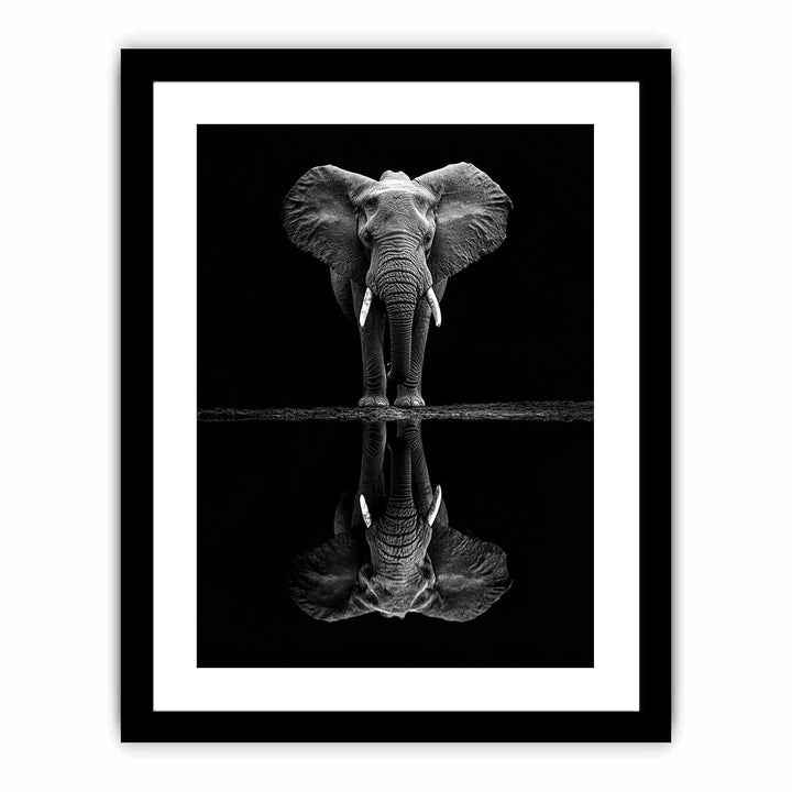 Serenade Of The Elephant  Art Print