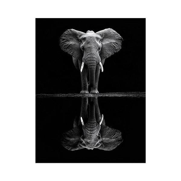Serenade Of The Elephant