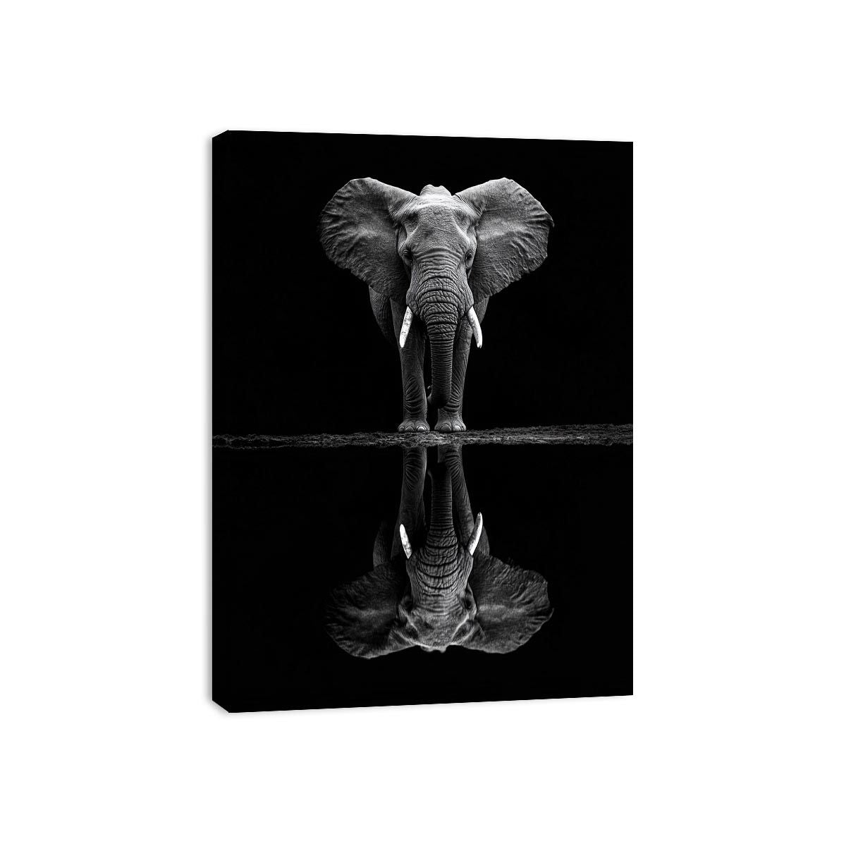 Serenade Of The Elephant Canvas Print