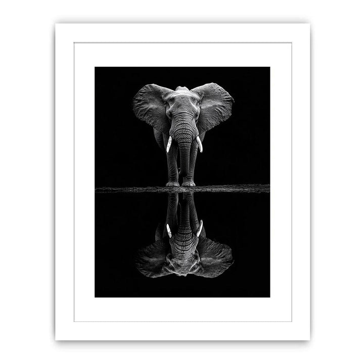 Serenade Of The Elephant Streched canvas