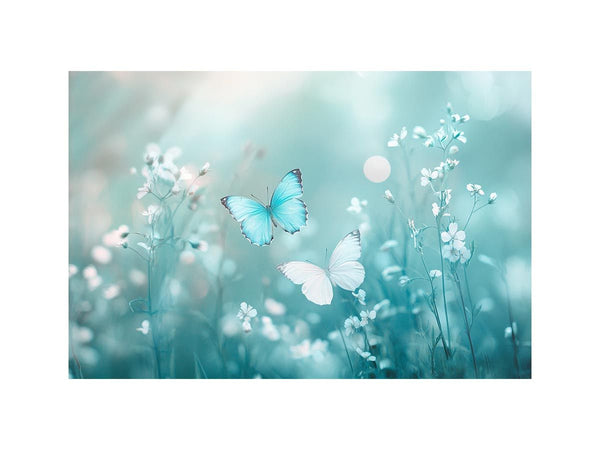 Fragile Symphony