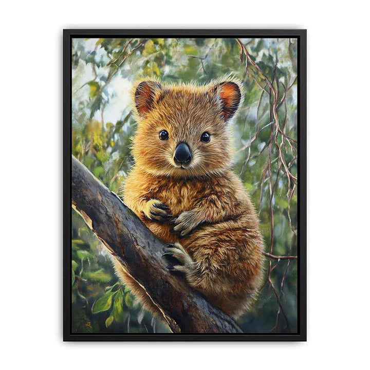 Quokka  Painting
