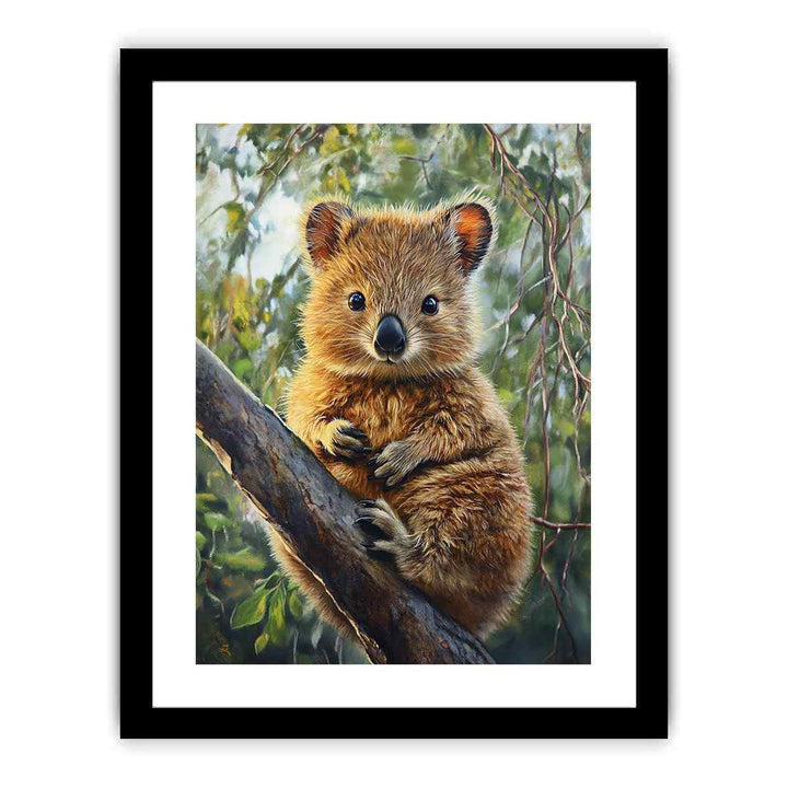 Quokka  Art Print