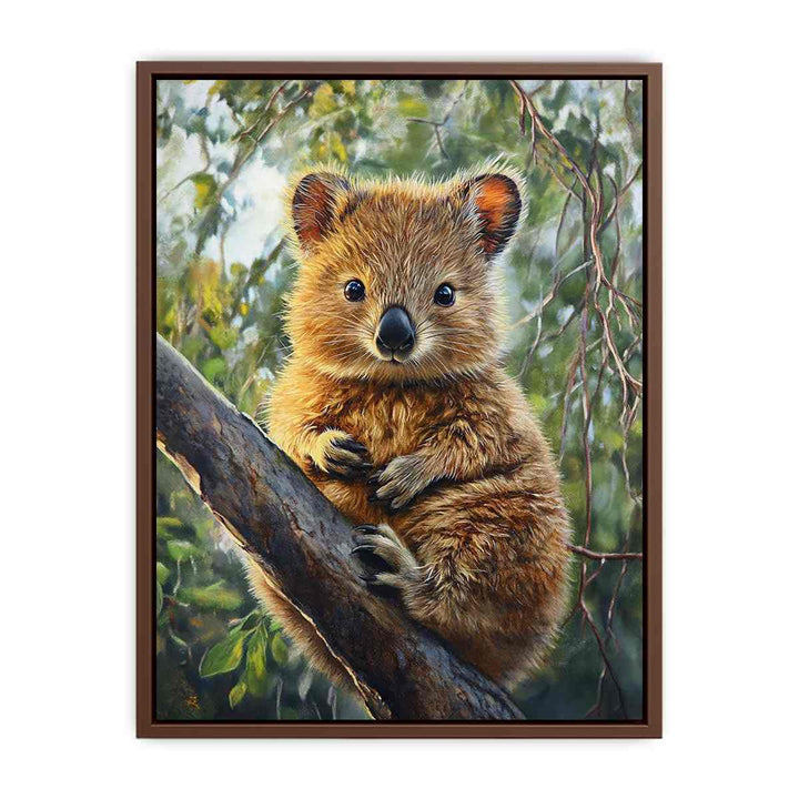 Quokka  Poster