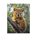 Quokka