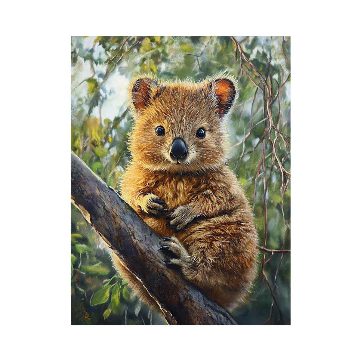 Quokka