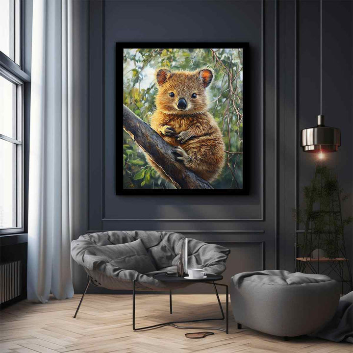 Quokka 