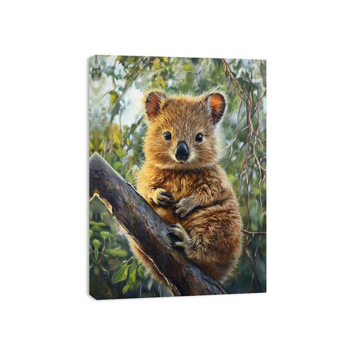 Quokka Canvas Print