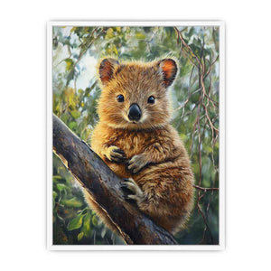 Quokka Framed Print