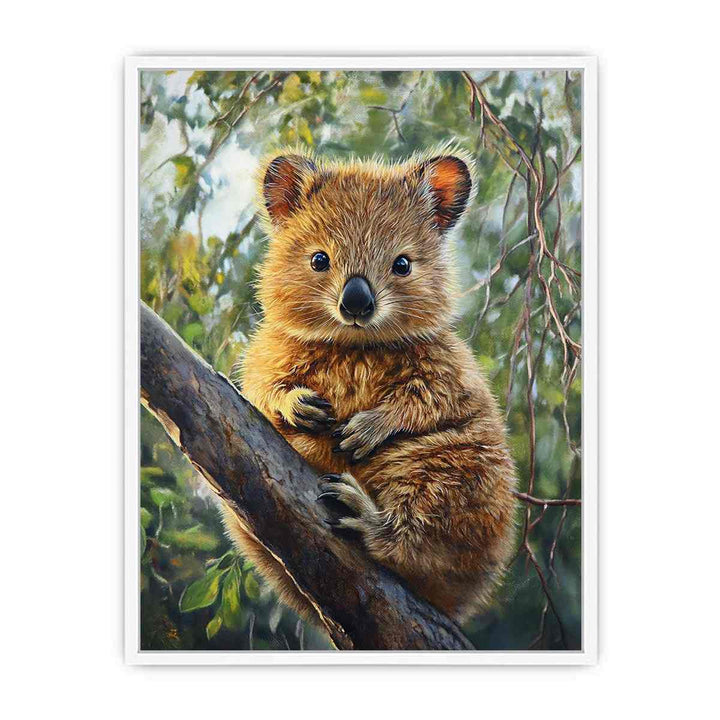 Quokka Framed Print