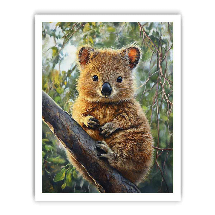 Framed print