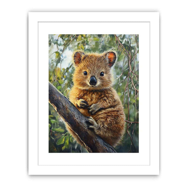 Quokka Streched canvas