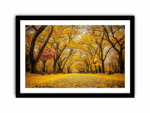 Crimson Whispers  Art Print