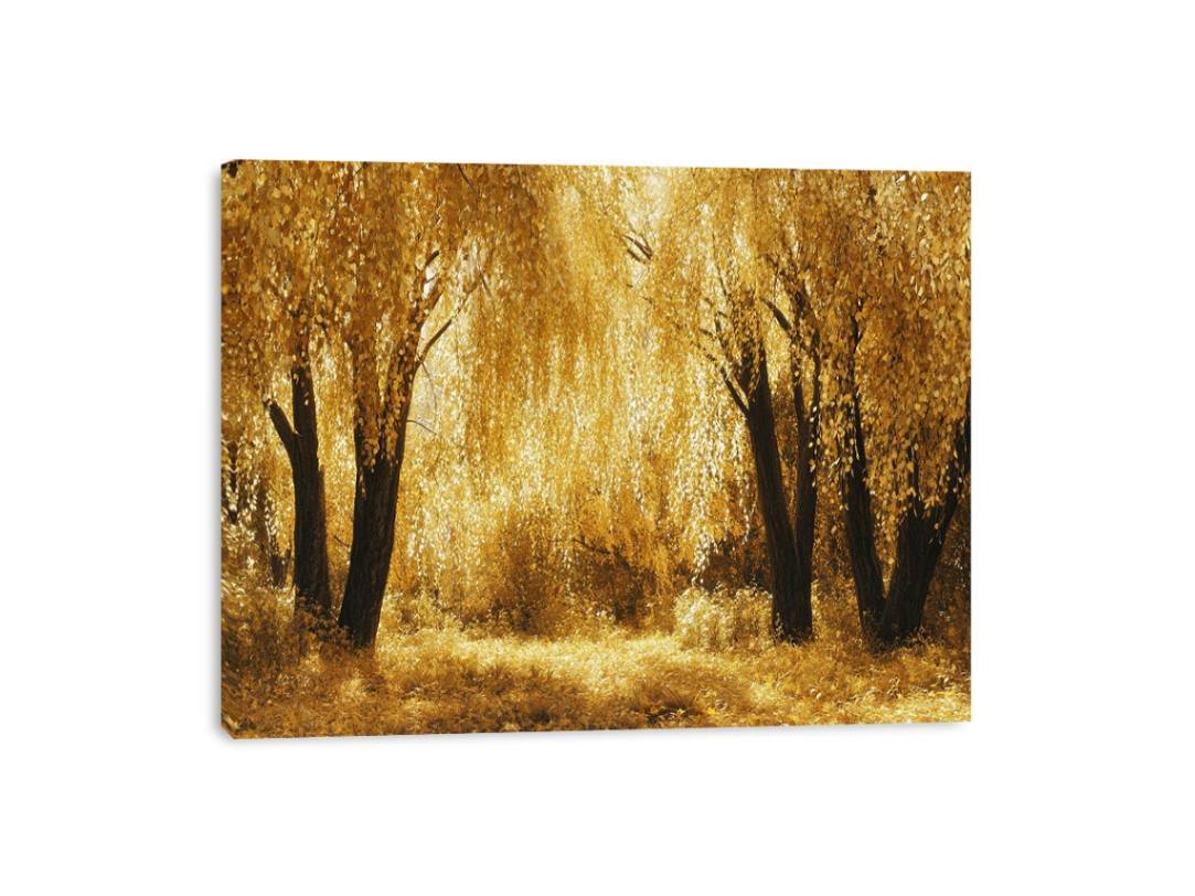 Autumn Gold Canvas Print