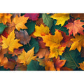 Autum leaves III