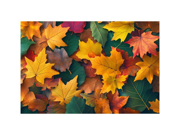 Autum leaves III