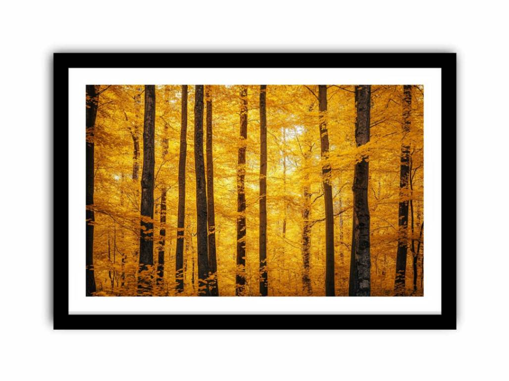 Flames Of Fall  Art Print