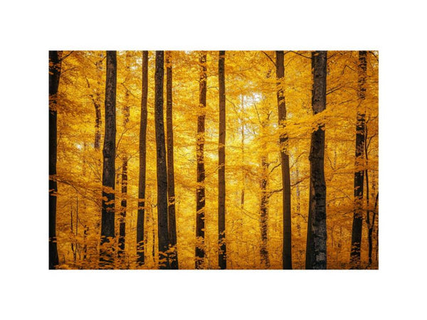 Flames Of Fall