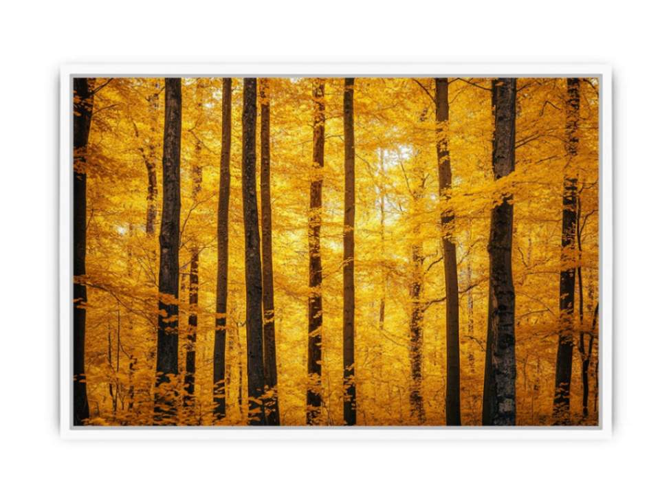 Flames Of Fall Framed Print