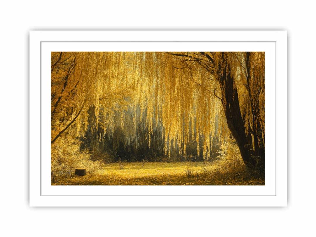 The Last Harvest Streched canvas