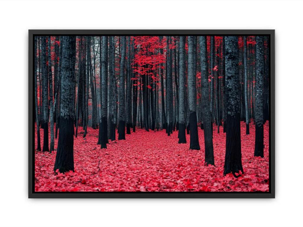 Red Maple Forest  Painting
