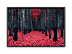 Red Maple Forest  Painting
