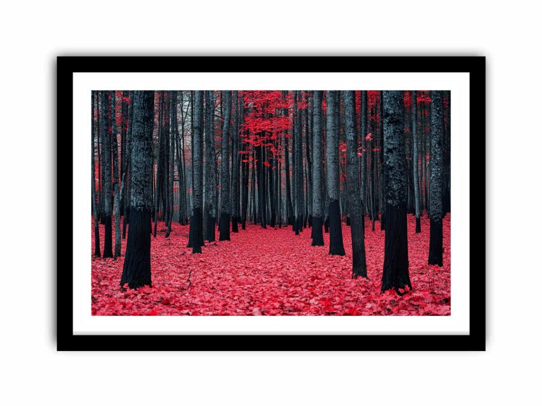 Red Maple Forest  Art Print