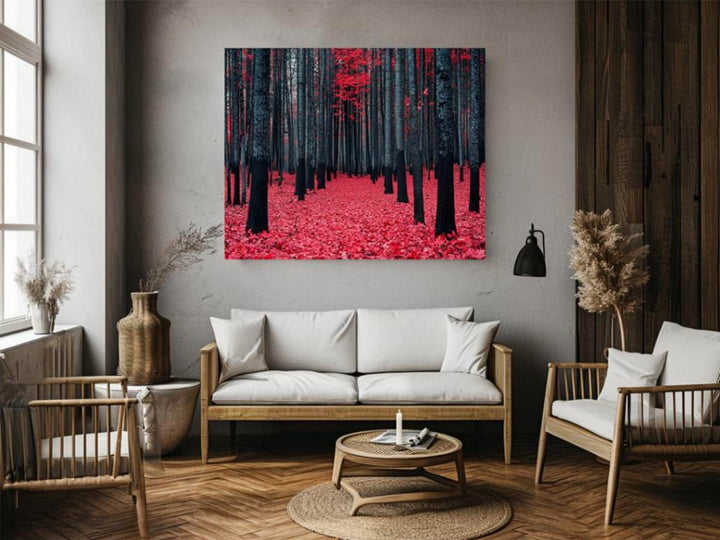 Red Maple Forest 