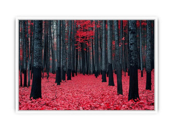 Red Maple Forest Framed Print