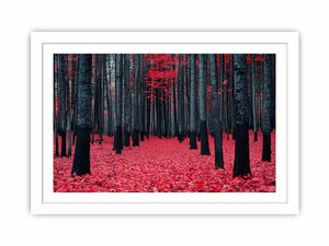 Red Maple Forest Streched canvas
