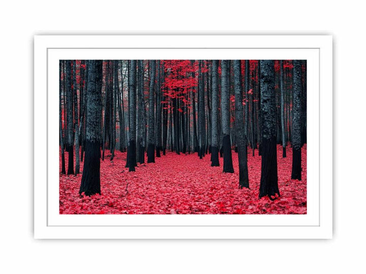 Red Maple Forest Streched canvas