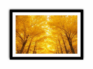 Golden Autumn Forest  Art Print