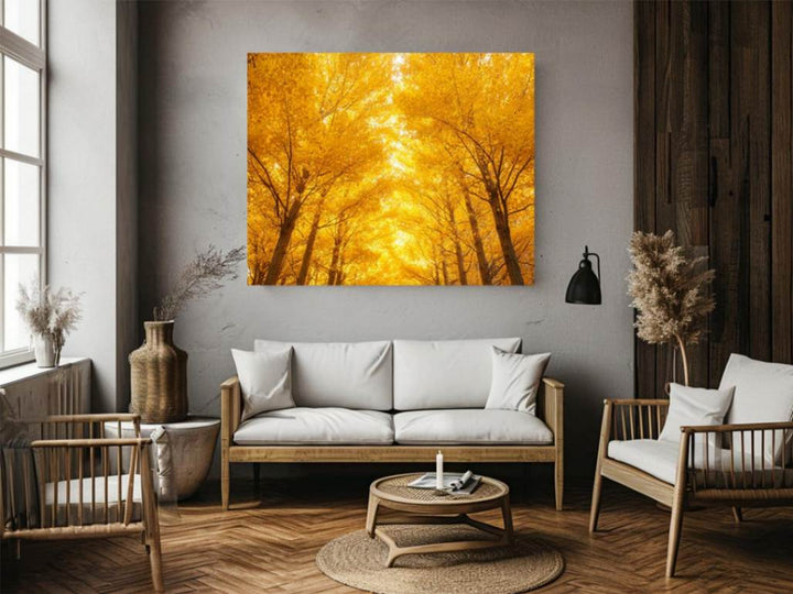 Golden Autumn Forest 