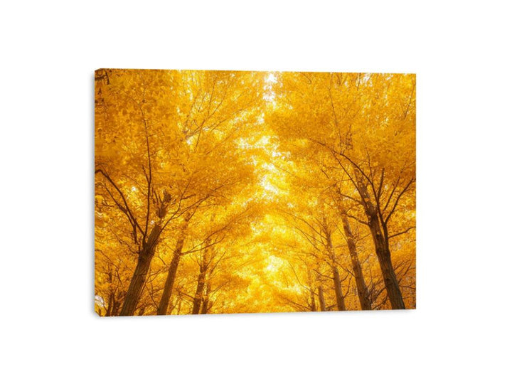 Golden Autumn Forest Canvas Print