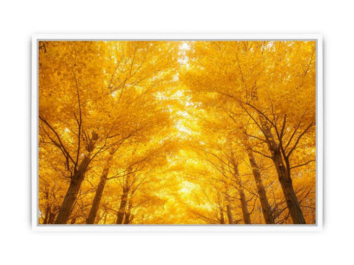 Golden Autumn Forest Framed Print
