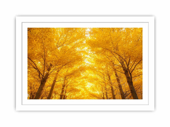 Golden Autumn Forest Streched canvas