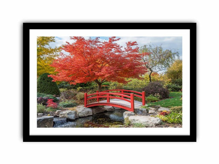 Japanese Maple  Art Print