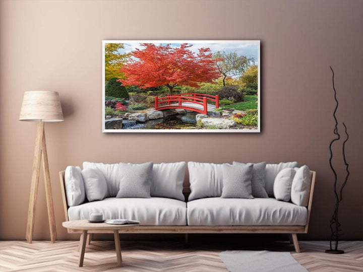 Japanese Maple 