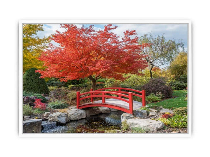 Japanese Maple Framed Print