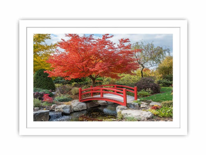 Japanese Maple Streched canvas