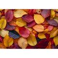 Vibrant Autumn Leaves