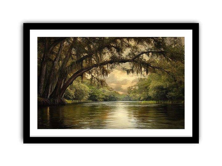Cooper Creek  Art Print