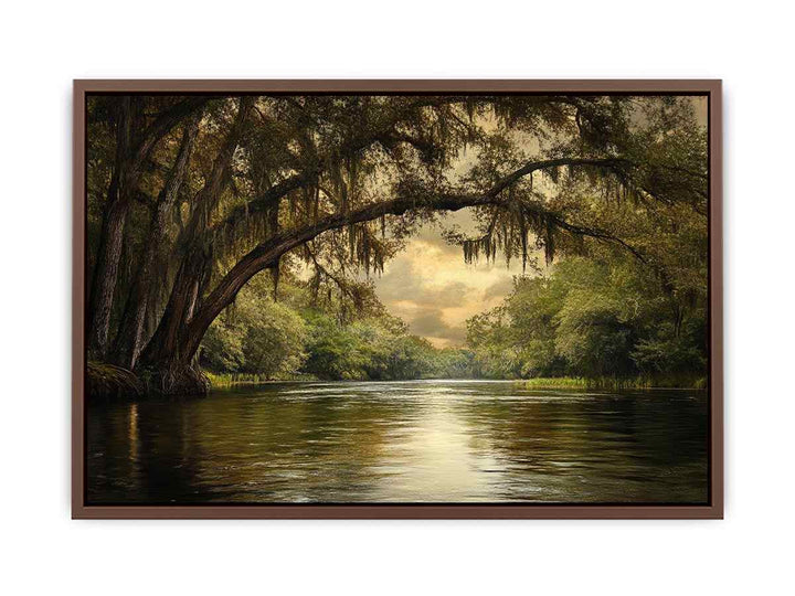 Cooper Creek  Poster