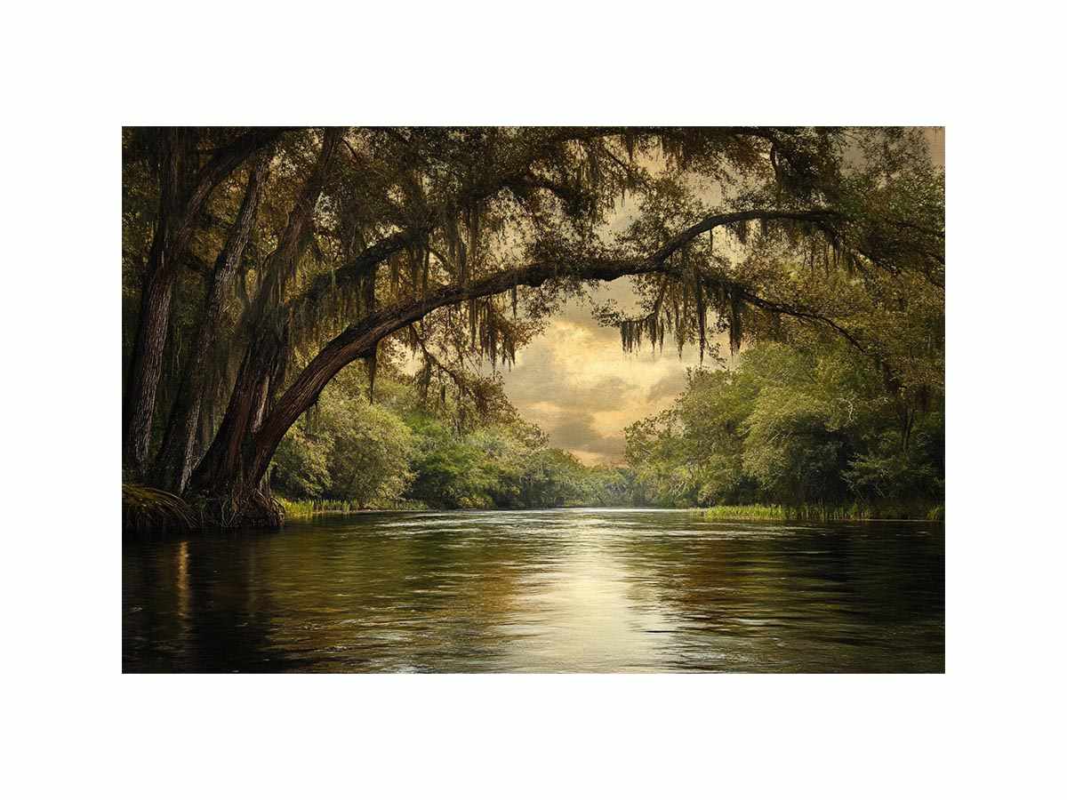 Cooper Creek