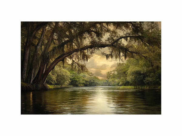 Cooper Creek