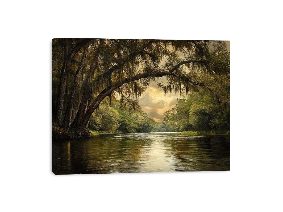Cooper Creek Canvas Print