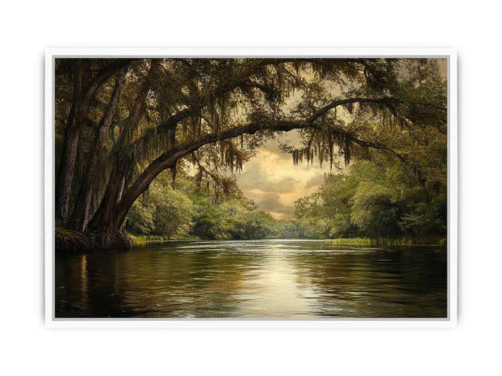 Cooper Creek Framed Print